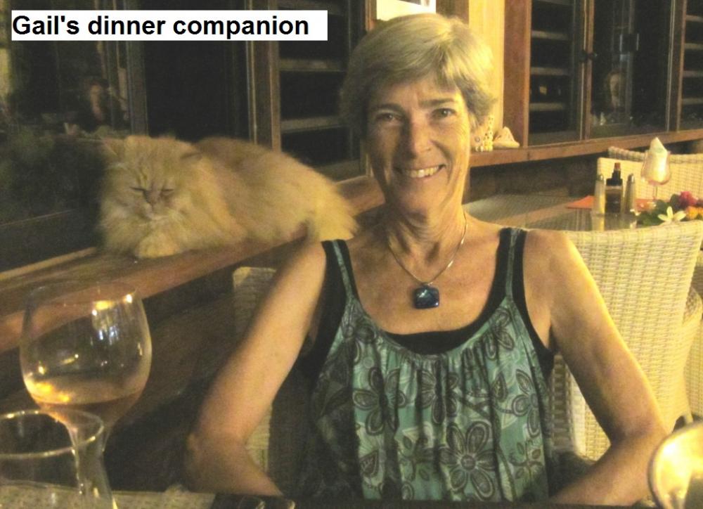 Gail with her dinner companion.